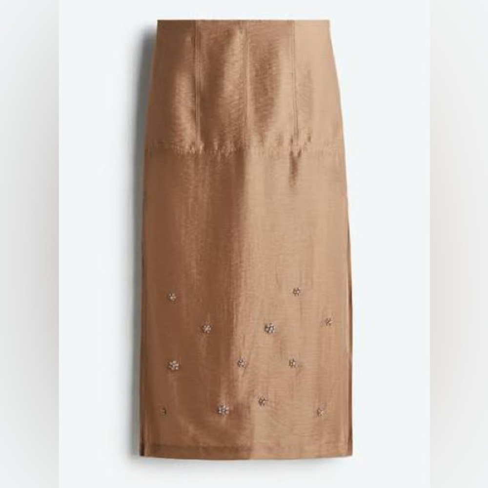 H&M sheer embellished dark beige maxi midi skirt SIZE 8 NWT - Picture 2 of 4